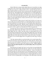 204 Một số vấn đề về nâng cao hiệu quả kinh doanh Đối với các doanh nghiệp Nhà nước trên địa bàn tỉnh Lai Châu (Tr51)