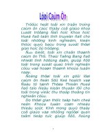 Pháp luật về quản lý nhà nuớc đối với các doanh nghiệp có vốn đầu tư nước ngoài, thực tiễn áp dụng tại Thừa Thiên-Huế