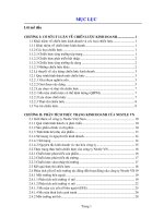 493 Xây dựng chiến lược kinh doanh của Công ty Nestle Việt Nam giai đoạn 2006 – 2010