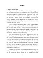 Nâng cao năng lực lãnh đạo và quản lý của cán bộ công chức nữ ở Tỉnh Bolykhămxay CHĐCN Lào