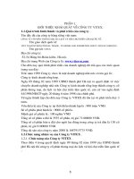 Giới thiệu khái quát về công ty vitex