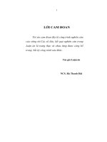 547 Nâng cao năng lực cạnh tranh của các khách sạn Việt Nam trong bối cảnh hội nhập kinh tế thế giới 