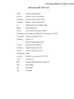 nghiên cứu về chủng Streptomyces 40.16