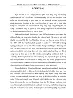 Đẩy mạnh hoạt động Marketing dịch vụ và một số giải pháp nhằm nâng cao hiệu quả Marketing trong kinh doanh dịch vụ tại công ty V.M.I