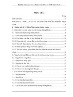 Mô hình lựa chọn kỳ hạn tính lợi suất và thời kỳ ước lượng khi ước lượng rủi ro - ứng dụng trên thị trường chứng khoán Việt Nam