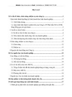 Định hướng củacông ty cổ phần phát triển Xây dựng và Xuất nhập khẩu Sông Hồng