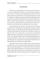 703 Hoàn thiện công tác đào tạo và phát triển nguồn nhân lực tại Công ty TNHH Tân hoàng Nam