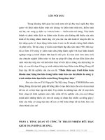 Hoàn thiện quy trình kiểm toán khoản mục hàng tồn kho trong kiểm toán báo cáo tài chính