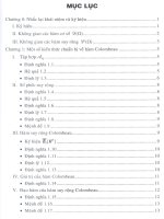 Hàm Suy rộng CoLombeau 3