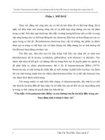 Tìm hiểu về brassinosteroids (BRs) và con đường truyền tín hiệu BRs trong các hoạt động sinh trưởng ở thực vật