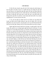 hoàn thiện khung pháp lý về hoạt động kinh doanh bất động sản sẽ tạo điều kiện thuận lợi để phát triển lành mạnh, bền vững và nhanh chóng