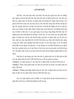 Những giải pháp nhằm tiếp tục bảo tồn và phát triển các khu di tích lịch sử đối với việc phát triển du lịch ở Hà Nội hiện nay