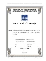 PHÁT TRIỂN NGUỒN HÀNG XĂNG DẦU NHẬP KHẨU Ở TỔNG CÔNG TY XĂNG DẦU VIỆT NAM