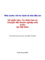 cổ phần hóa, tư nhân hóa và chuyển đổi doanh nghiệp nhà nước tại Việt Nam