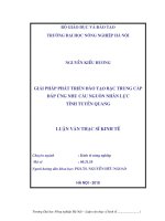 433 Giải pháp phát triển đào tạo bậc trung cấp đáp ứng nhu cầu nguồn nhân lực tỉnh Tuyên Quang