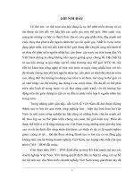 Đánh giá hoạt động đầu tư của công ty cổ phần sữa Việt Nam Vinamilk