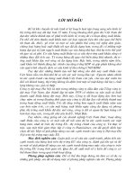 Một số giải pháp nâng cao sức cạnh tranh của công ty dệt may Hà Nội trên thị trường