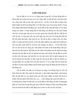 Phân tích tài chính dự án đầu tư khu đô thị mới Nam An Khánh