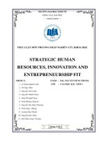 strategic human resources. innovation and entreprepreneurship fit