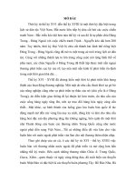 Tình hình ngoại thương Đàng Trong từ thế kỉ XVI đến thế kỉ XVIII