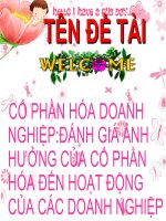Cổ phần hóa doanh nghiệp đánh giá của cổ phần hóa đến hoạt động của các doanh nghiệp