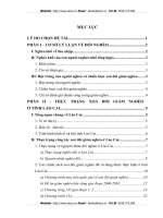 XOÁ ĐÓI GIẢM NGHÈO  Ở TỈNH LÀO CAI