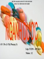 Phân tích tài chính Ngành dược