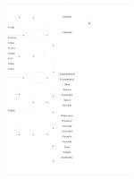 BẢNG KẾ HOẠCH  SẢN XUẤT MÃ HÀNG  PT 120.