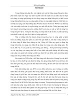 MẠNG CẢM BIẾN KHÔNG DÂY