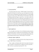 Giải pháp Marketing nhằm thúc đẩy hoạt động kinh doanh tại công ty TNHH TM quốc tế Việt Mĩ Hàn