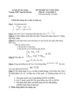 Đề kiểm tra môn toán khối 11