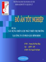 Xây dựng chiến lược phát triển thị trường tại Công ty cổ phần giày Bình ĐỊnh