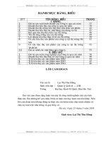 GIẢI PHÁP QUẢN LÝ KINH TẾ NHẰM MỞ RỘNG THỊ TRƯỜNG TIÊU THỤ SẢN PHẨM TẠI CÔNG TY CỔ PHẦN DỤNG CỤ SỐ 1