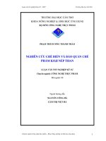 NGHIÊN CỨU CHẾBIẾN VÀ BẢO QUẢN CHẾ PHẨM KOJI NẾP THAN