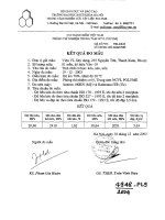 công nghệ thu gom, vận chuyển, xử lý rác nilon và chất thải hữu cơ