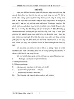 Những giải pháp để  những người trẻ tuổi tốt hơn