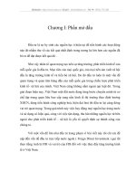 Thực trạng đầu tư trực tiếp nước ngoài ở Việt nam hiện nay