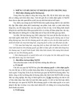 NHỮNG VẤN ĐỀ CHUNG VỀ NHƯỢNG QUYỀN THƯƠNG MẠI