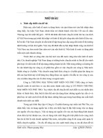 NÂNG CAO HIỆU QUẢ SỬ DỤNG VỐN CỐ ĐỊNH CỦA CÔNG TY CỔ PHẦN THƯƠNG MẠI MIỀN NÚI PHÚ THỌ