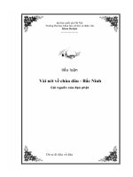 Vài nét về chùa dâu - Bắc Ninh Cội nguồn của đạo phật