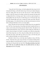 Ứng dụng marketing trong hoàn thiện chiến lược sản phẩm-thị trường cho sản phẩm dệt kim của công ty Hanosimex