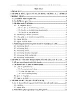 TỔ CHỨC HOẠT ĐỘNG SẢN XUẤT KINH DOANH CỦA NGÂN HÀNG THƯƠNG MẠI CỔ PHẦN PHƯƠNG ĐÔNG