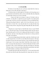 Thực tiễn tổ chức việc thi hành án tại địa phương