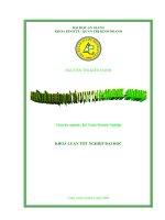 phân tích hiệu quả tín dụng tại Sacombank An Giang