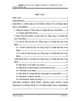 TỔNG QUAN VỀ TỔNG CÔNG TY CỔ PHẦN DỆT MAY NAM ĐỊNH