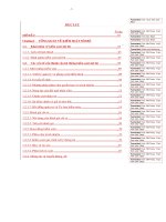 45 Giải pháp hoàn thiện hệ thống kiểm soát nội bộ ở Công ty TNHH Meinan (Việt Nam)