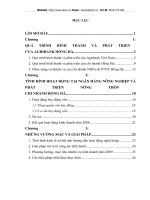 TÌNH HÌNH HOẠT ĐỘNG TẠI NGÂN HÀNG  NÔNG NGHIỆP VÀ PHÁT TRIỂN NÔNG THÔN   CHI NHÁNH HỒNG HÀ