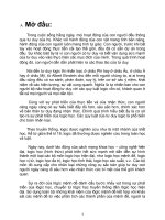 phân tích ngữ nghĩa của các mệnh đề, các tư tưởng