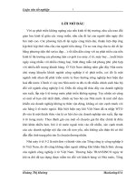 426 Một số giải pháp Marketing nhằm nâng cao hiệu quả kinh doanh xuất khẩu của Công ty cổ phần XNK Nam Hà Nội