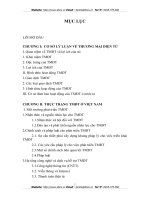 THỰC TRẠNG VÀ GIẢI PHÁP PHÁT TRIỂN TMĐT Ở VIỆT NAM